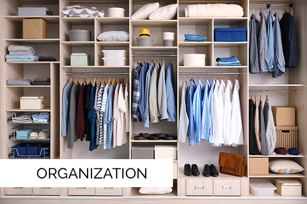 Organization